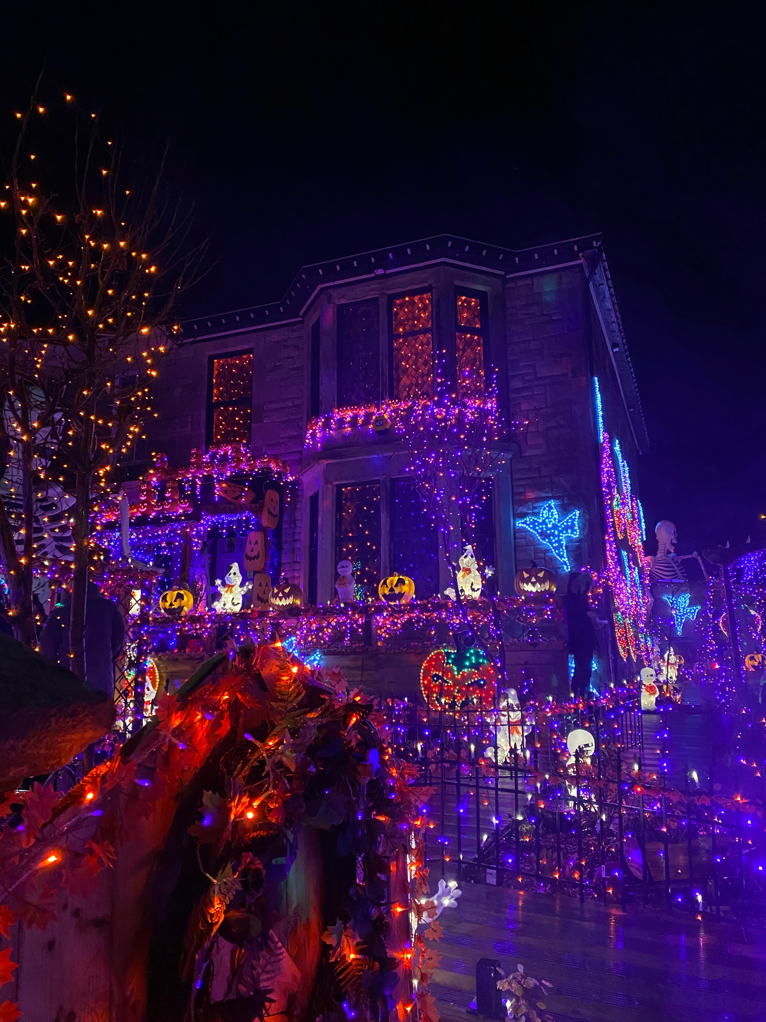 2026 Halloween & Christmas Limited Early Access 🎃🎄