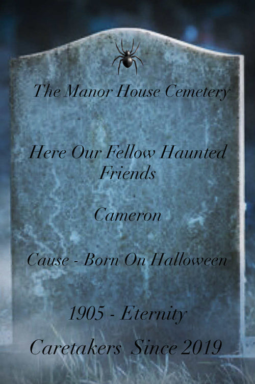 Being Part Of The Manor House For Halloween With Your Very Own GraveStone  - Please Read Full Description
