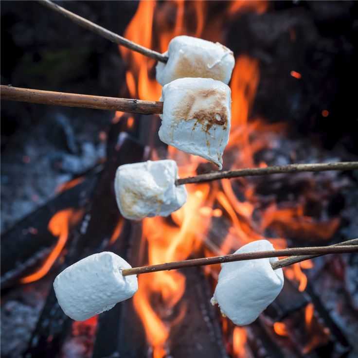 👻🕸️👻The Ghostly Manor - Ghost Roasting Marshmallow👻🕸️👻