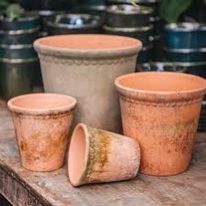 Small Terracotta /Plastic Pot  - Re Fill